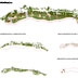 Master plan for the developable area Cabeca, Andorra.